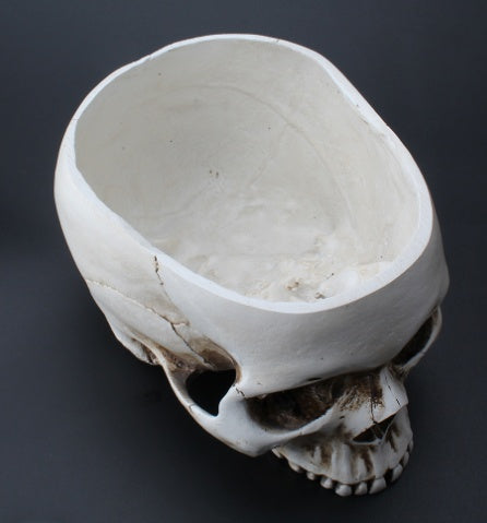 Resin Skull Flower Pot Ashtray Resin Skull Ornament Flower Pot